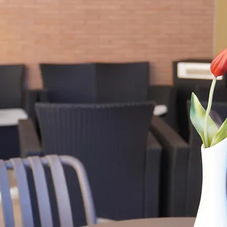 Hotel Oasi San Francesco 3*